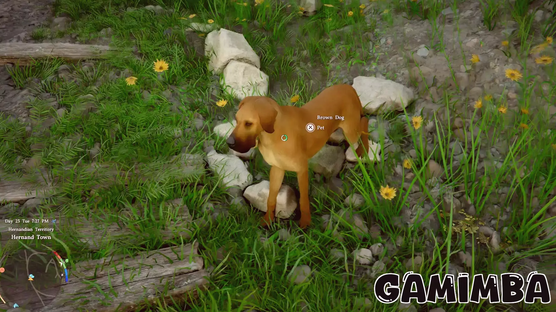 A Guide to Taming and Summoning Pets in Crimson Desert