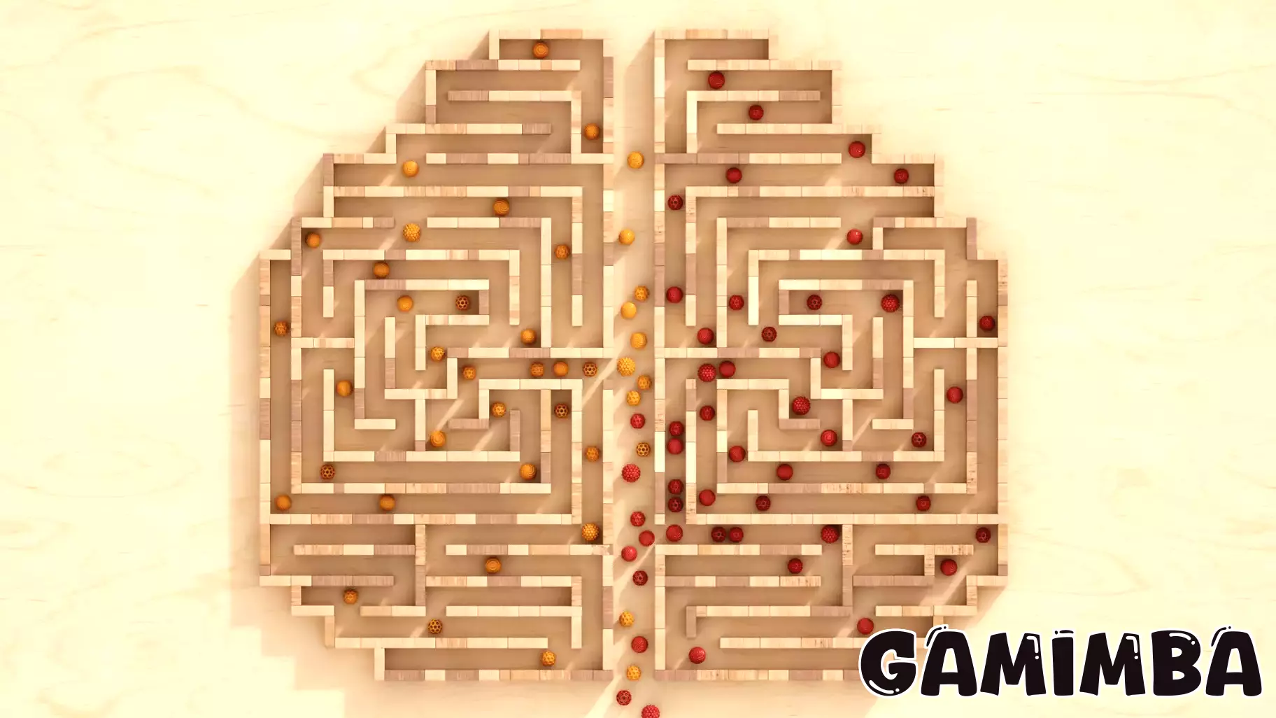 Can video games help prevent dementia? What CT experts say