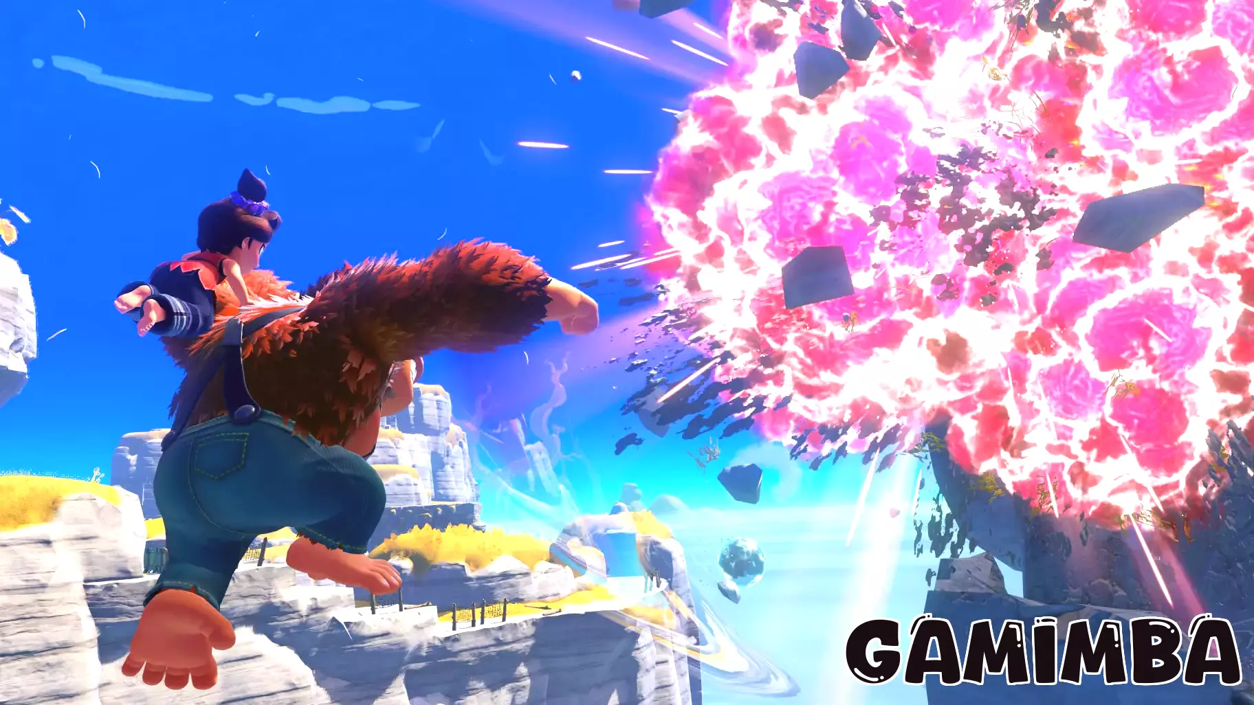 Director Acknowledges Performance Issues in Donkey Kong Bananza, Emphasizes Fun