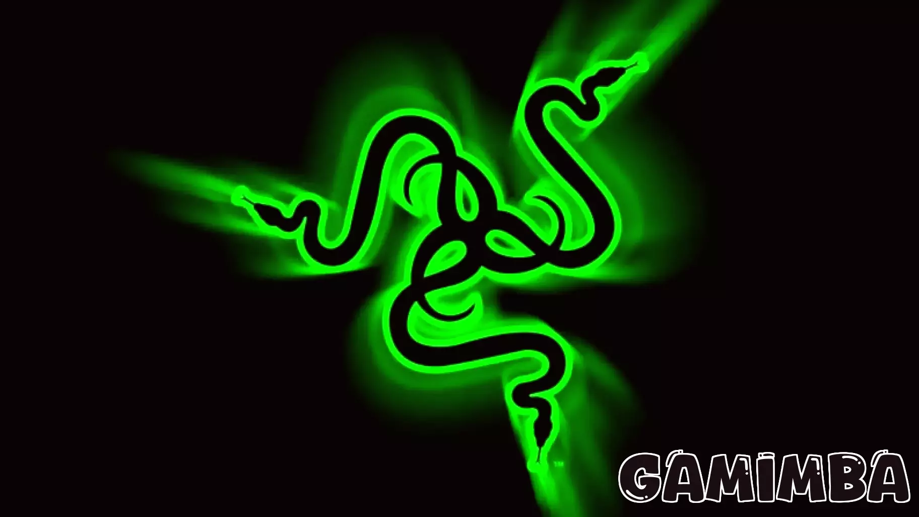 Razer CEO Defends Investment in AI Amid Consumer Concerns