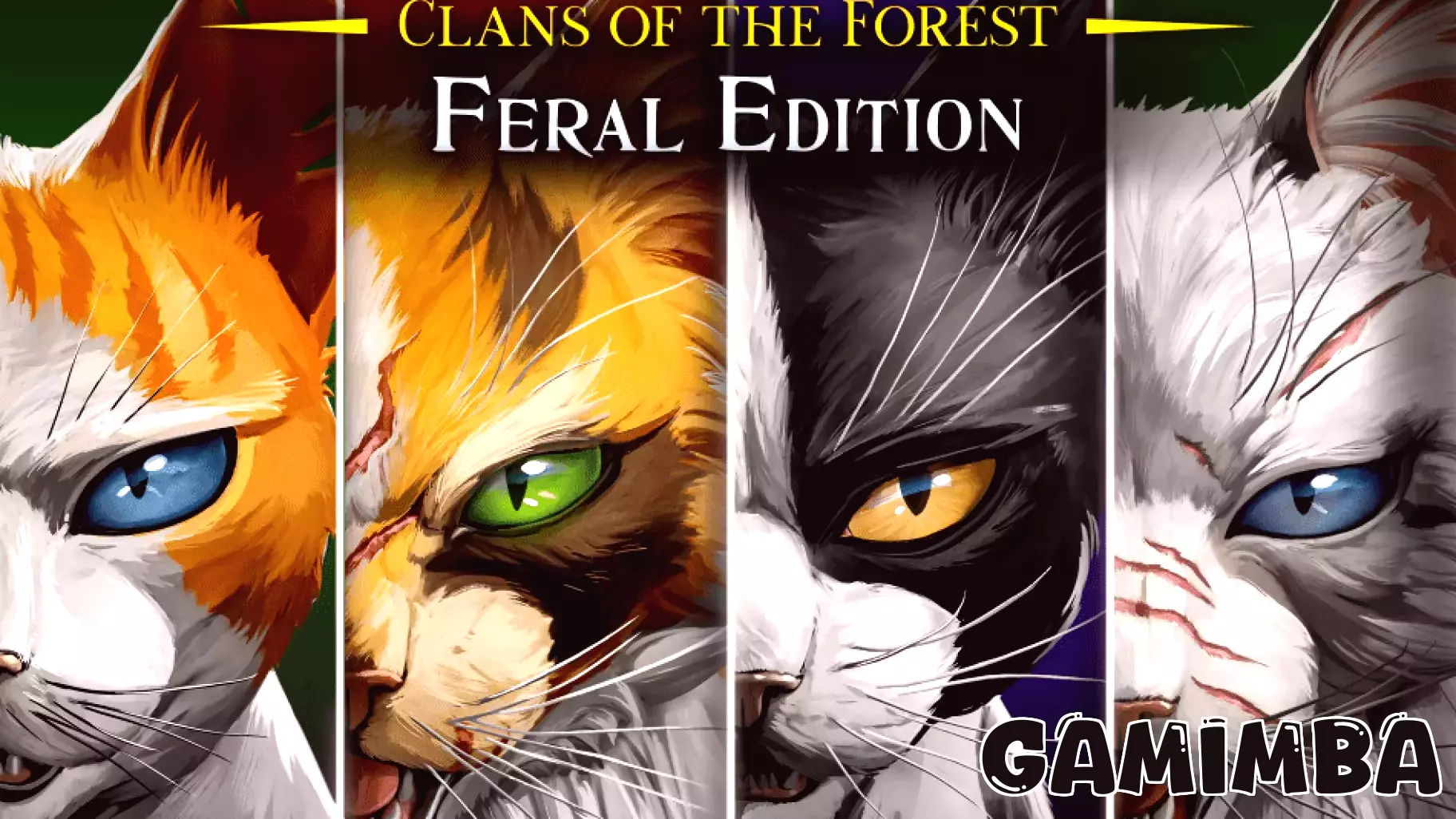 ‘Warrior Cats’ Video Game Announced Based on Hit Novel Series