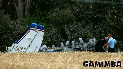 Co-founder of  ‘Assassin’s Creed’ video game giant dies in plane crash