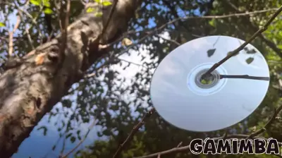 Inside the Journey of a Video Game Disc